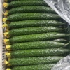 夏邑蔬菜供应商行的一亩田店铺