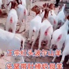 高海燕的一亩田店铺