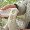 蒋华的一亩田店铺