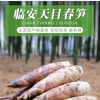 小华竹笋蔬菜经营部的一亩田店铺