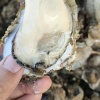 刘利疆的一亩田店铺