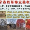 冯玉胜的一亩田店铺