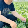 山东润通食品有限公司的一亩田店铺