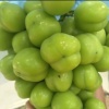 大莽果品站的一亩田店铺