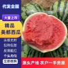 河南夏邑诚信西瓜白菜的一亩田店铺
