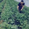 王玉生的一亩田店铺