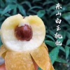 苏州东山潘氏农副特产有限公司的一亩田店铺