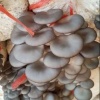 魏向宜的一亩田店铺