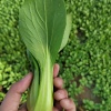 建明生鲜的一亩田店铺