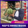 钟峰的一亩田店铺
