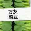 万友蔬菜代办的一亩田店铺