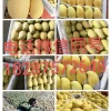 小郭农产品果蔬代办的一亩田店铺