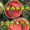 老王蔬果代办的一亩田店铺