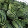 向维进的一亩田店铺