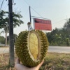 刘运富的一亩田店铺