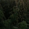 雒海兵的一亩田店铺