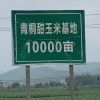 唐鲜生的一亩田店铺