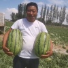 孙长领的一亩田店铺