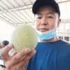 龙天商贸的一亩田店铺