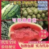小吴瓜果购销部的一亩田店铺