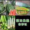 潍坊玥玥瓜果蔬菜代购代销的一亩田店铺