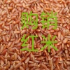 恆瑞米厂的一亩田店铺