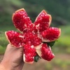 范春兵的一亩田店铺