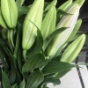 鼎鼎花卉种植场的一亩田店铺