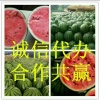 张来发的一亩田店铺