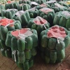 王桂鹏的一亩田店铺
