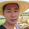 钟发文的一亩田店铺