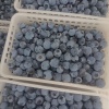 君悦知供应链有限公司的一亩田店铺
