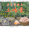 沈阳灿铄商贸有限公司的一亩田店铺