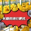 张丹秋的一亩田店铺