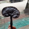 覃意波的一亩田店铺