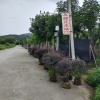 谢伟锋的一亩田店铺