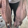 纪婷婷的一亩田店铺