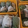 李文龙的一亩田店铺