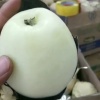 河南华硕种植基地的一亩田店铺