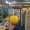 郑小芳的一亩田店铺