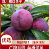 赖飞旭的一亩田店铺