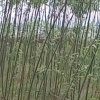 嘉源农业的一亩田店铺