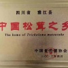 张全的一亩田店铺