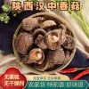 天汉良品食用菌的一亩田店铺