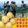 李严达的一亩田店铺