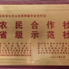 自贡市九台山水果合作社的一亩田店铺