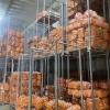 石家庄德兰农业种植有限公司的一亩田店铺