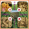 沂水县宇凡果蔬购销中心的一亩田店铺