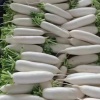 王凯辉的一亩田店铺