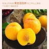 万亿成商贸的一亩田店铺